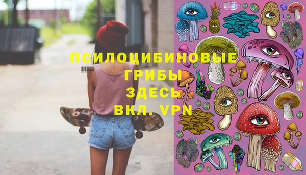 круглые Корсаков