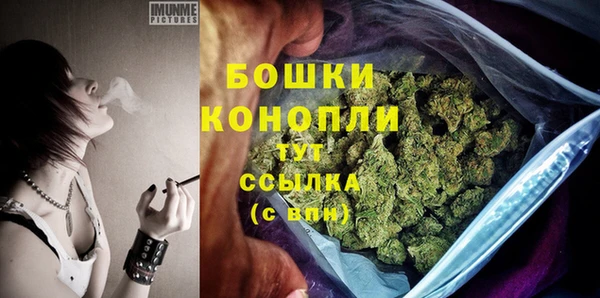 ECSTASY Коряжма