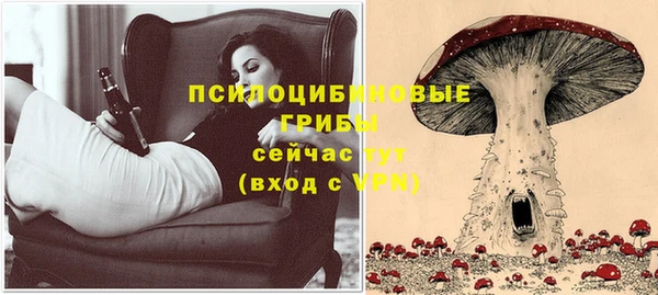 круглые Корсаков