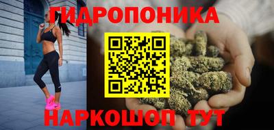 индика Апшеронск