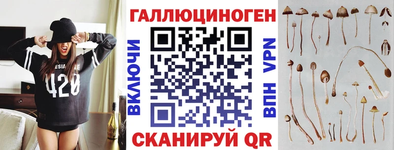 Галлюциногенные грибы Cubensis Нижнекамск
