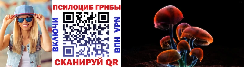 Галлюциногенные грибы ЛСД  Нижнекамск 