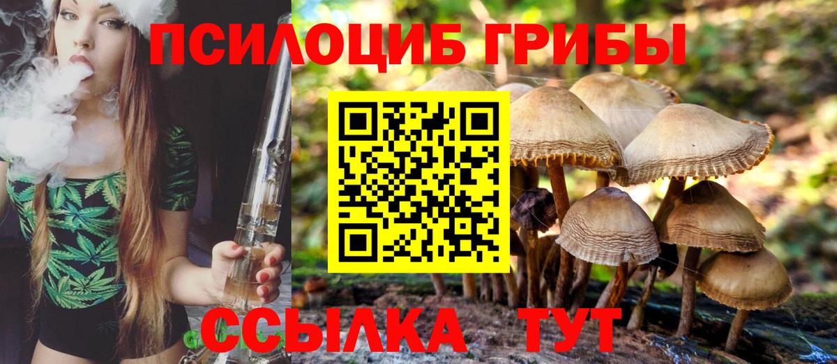Нижнекамск  Галлюциногенные грибы ЛСД  Вход с VPN 