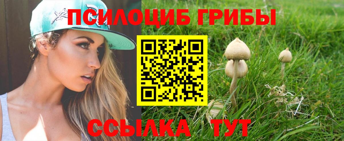 Псилоцибиновые грибы Magic Shrooms  Галлюциногенные грибы прущие грибы  Нижнекамск 