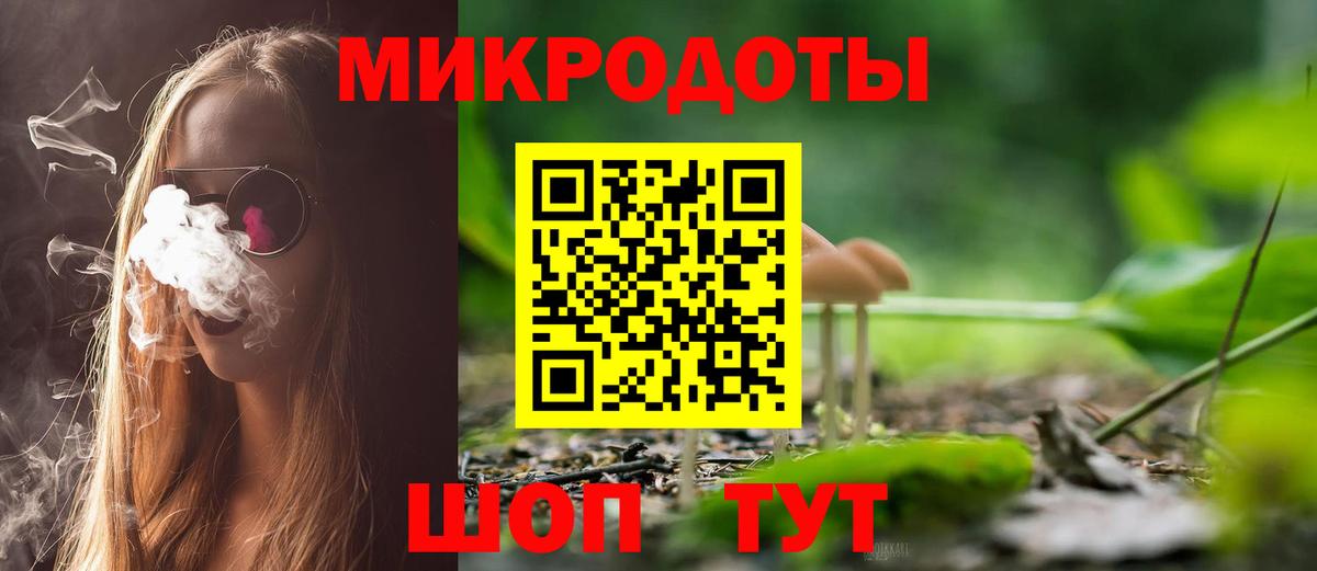 Псилоцибиновые грибы мицелий Нижнекамск