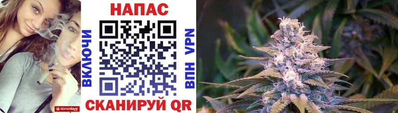 МАРИХУАНА конопля  мориарти наркотические препараты  Нижнекамск  магазин продажи  